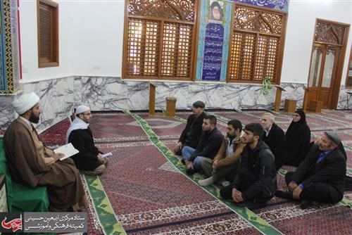 A Delegation from Turkey Visited the Holy Shrine of Imam Ali (PBUH).